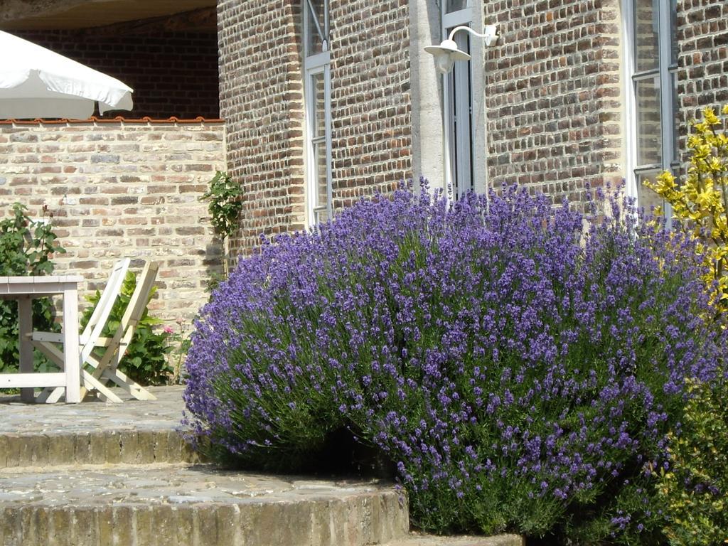 B&B Schoon Goed Gingelom Buitenkant foto